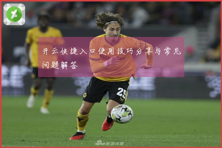 开云快捷入口使用技巧分享与常见问题解答