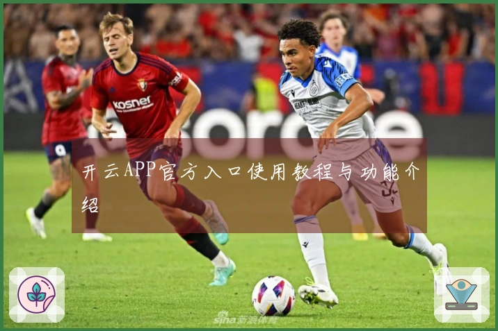 开云APP官方入口使用教程与功能介绍